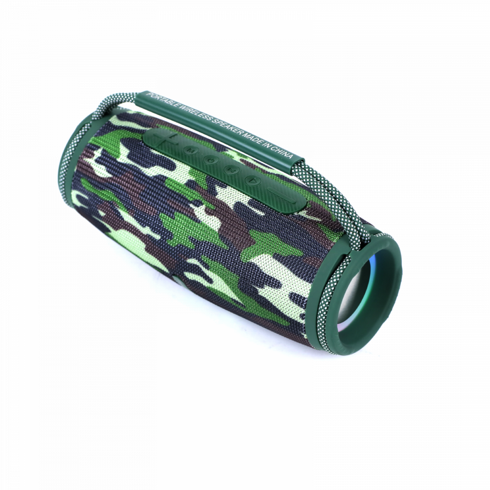 Беспроводная колонка Charge E6S