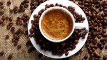 Кофе в зернах Lavazza Tierra Bio-Organic Humeco 1 кг 2 шт