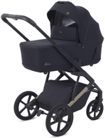Детская коляска Rant Garda 3 в 1 с автокреслом Evomax Grey Black