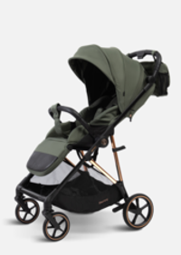 Peppy Коляска прогулочная Amici (Green) рама Black