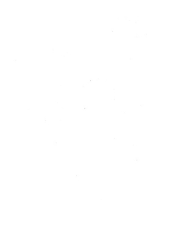 Финляндец. №41 | Сборник