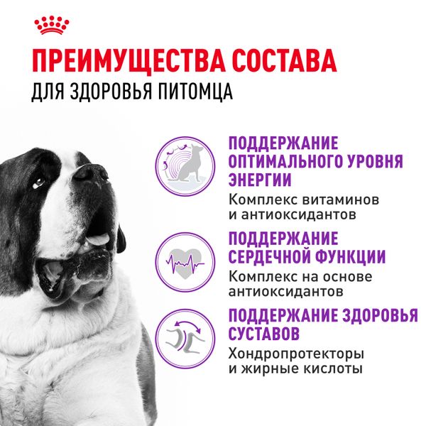 Сухой корм Royal Canin Giant Adult для взрослых собак очень крупных размеров от 18 месяцев