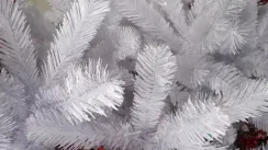 Елка Исландская белоснежная 120 см., мягкая хвоя, Triumph Tree (73091)