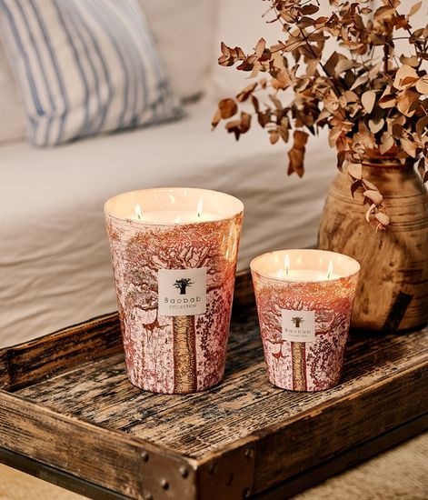 Woroba, свеча MAX 35 Sacred Trees collection, Baobab Collection