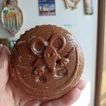 Лариса Кайгородова