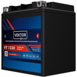 VEKTOR VT 1230 аккумулятор
