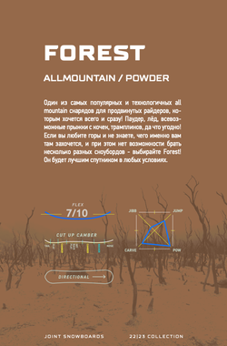 Сноуборд JOINT FOREST SNB 22-23