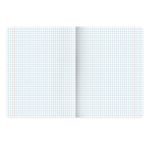 Тетрадь предметная "STARLIGHT" 48 л., глянцевый УФ-лак, ОБЩЕСТВОЗНАНИЕ, клетка, BRAUBERG, 404521