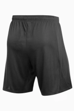 Шорты Nike Dri-FIT Academy 24 Knit Pro