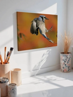 Картина на стену 40 X 50 Птица