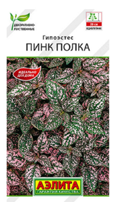 Гипоэстес Пинк Полка