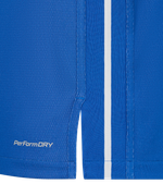 Майка двухсторонняя JÖGEL DIVISION PerFormDRY Double-Side Jersey, синий/белый