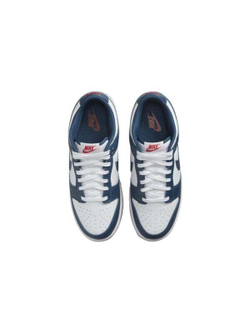 Кроссовки Nike Dunk Low Valerian Blue