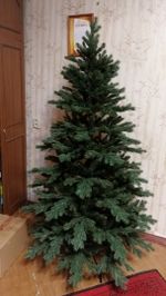 Ель узкая «Графская стройная» (Литая+пвх) от 1,5 м до 2,7 м