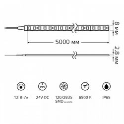 Лента светодиодная Gauss  23637452010