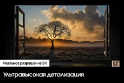 Телевизор Samsung QE55QN700CUXRU