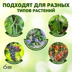 GPCR-2 GREEN APPLE Кольцо фиксатор цепочка