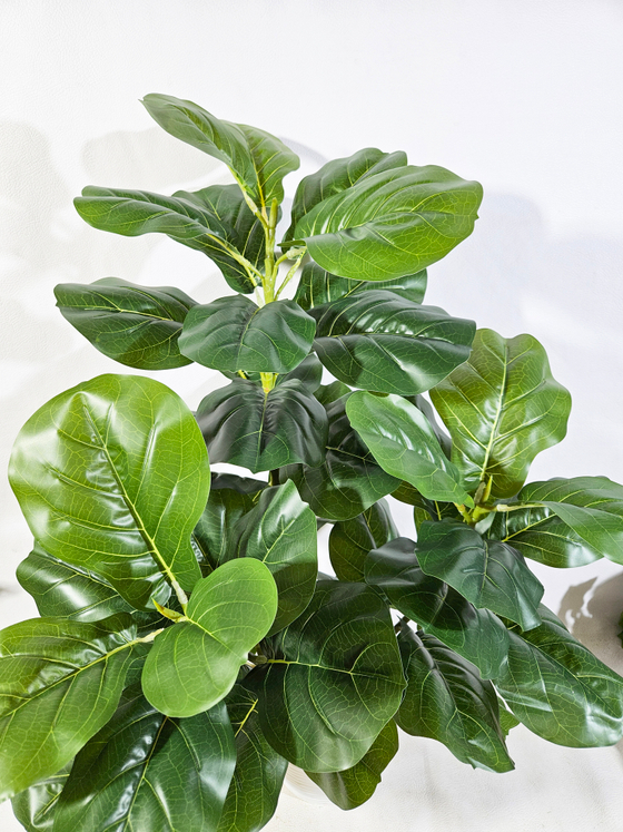 Искусственное растение Фикус Лирата зеленый в кашпо