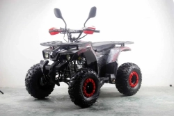 Квадроцикл MOTAX ATV Grizlik Premium 125cc
