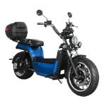 Skyboard BR100-5000 (Amur)