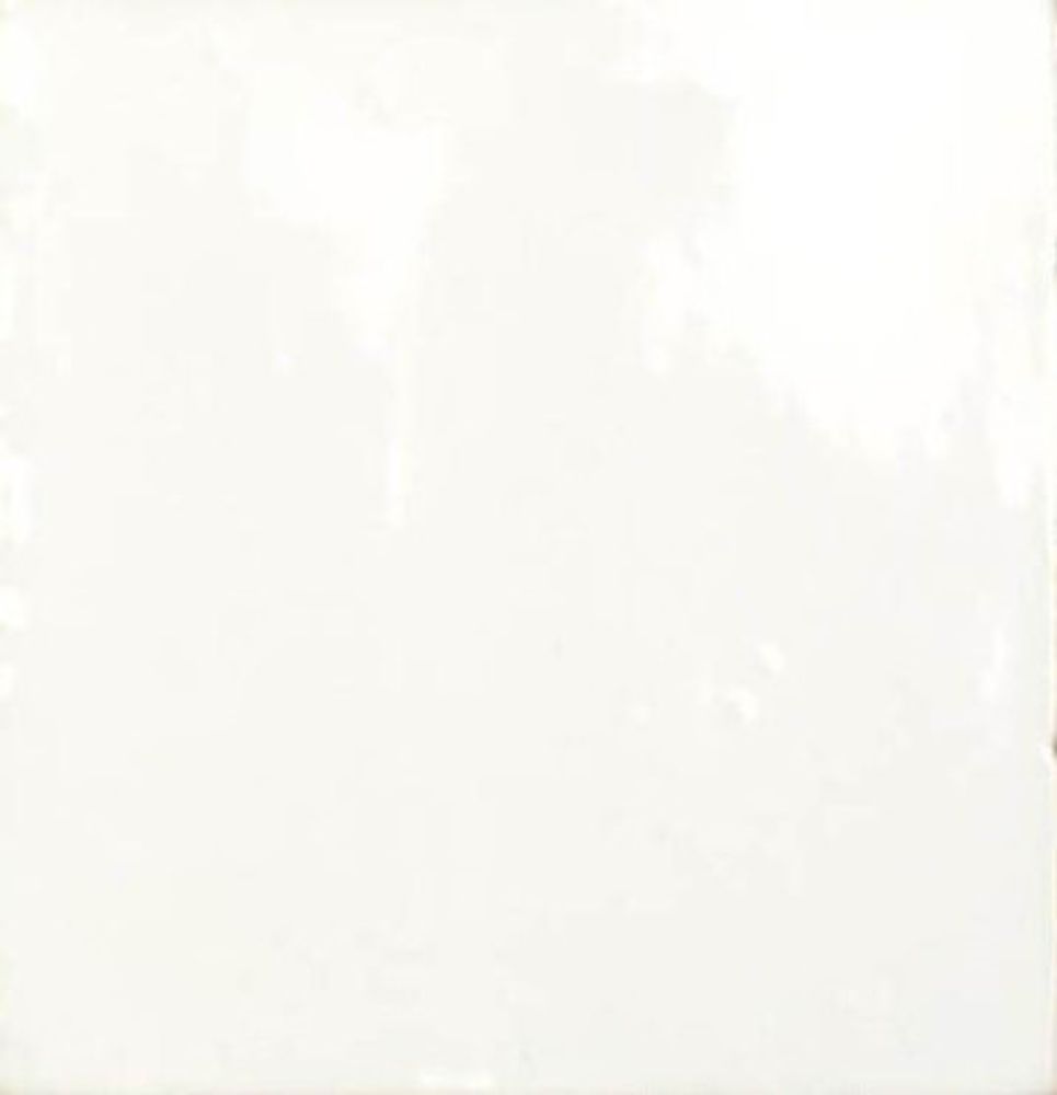 Настенная плитка VINTAGE WHITE 15