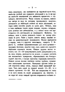 Молочное хозяйство. Молоко, сливки, масло, сыр | Наумов Александр Михайлович