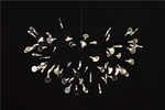 Pendant design lamp  Heracleum II by Moooi (Brass,  D72cm)