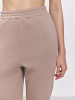 Брюки женские с начесом (кофейный)