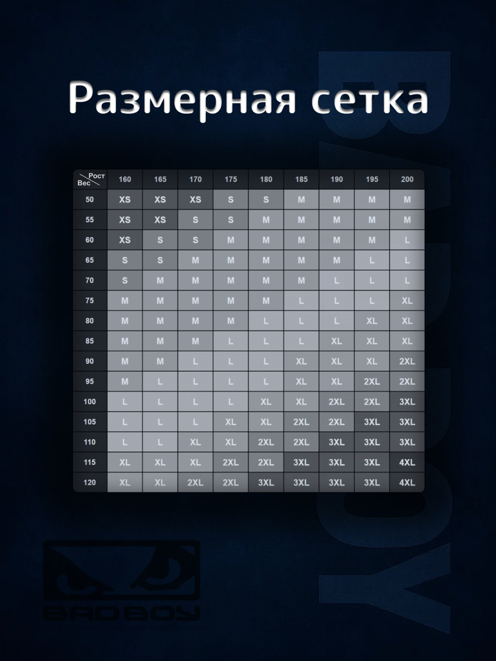 Шорты спортивные тренировочные Bad Boy Pro Series 2.0 Light черный