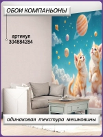 3D Фотообои котики в космосе