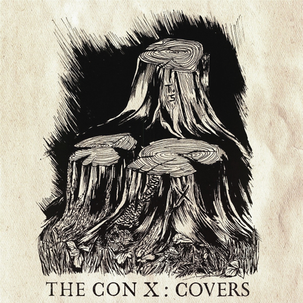 Сборник / Tegan And Sara - The Con X: Covers (LP)