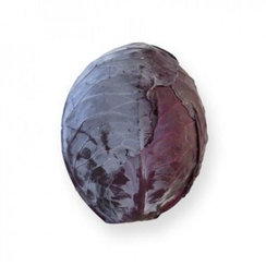 Родима F1 семена капусты краснокочанной (Rijk Zwaan / Райк Цваан)