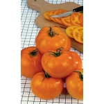 Семена Томат Мармеладный (Марс) Б/П