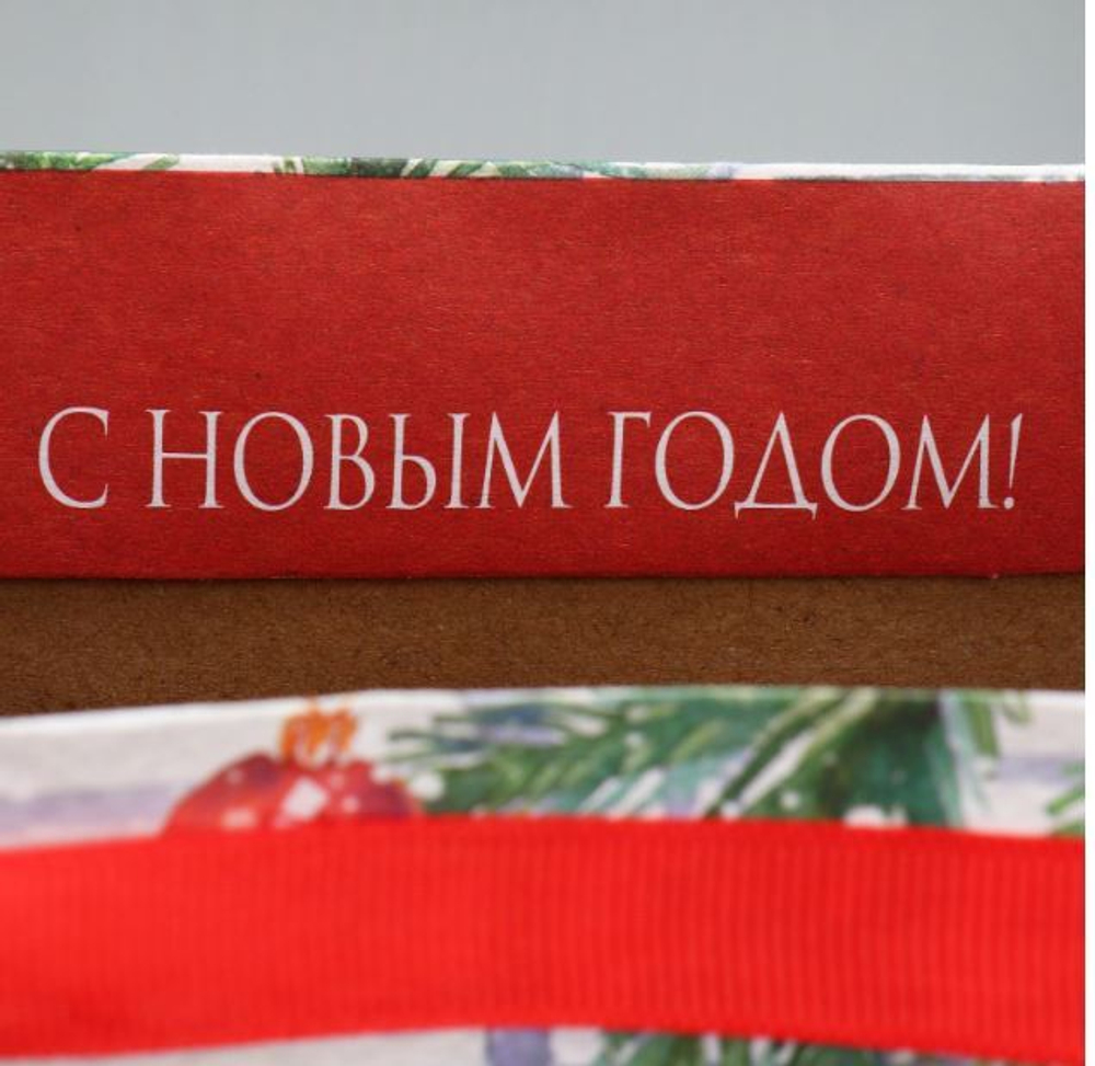 Пакет крафтовый вертикальный «Новогодний дом», L 31 × 40 × 11.5 см 9564912