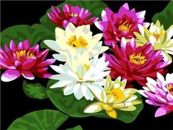 Nömrələr ilə rəngləmə \ Картина по номерам E282