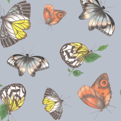 Разноцветные бабочки на серо-голубом фоне