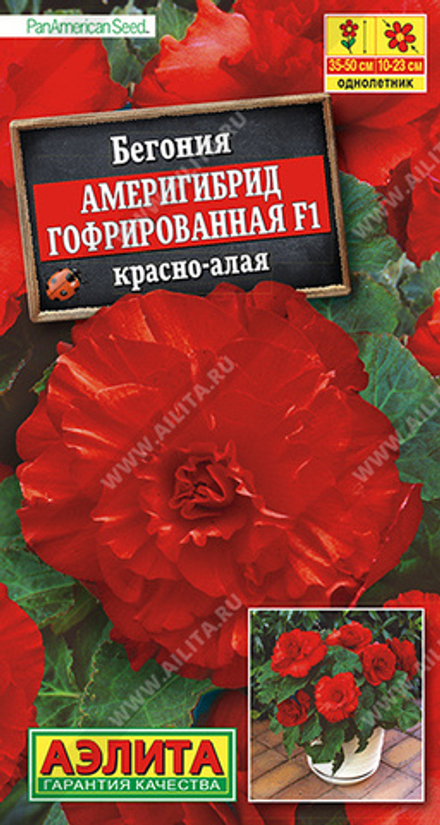 Бегония Америгибрид гофрированная F1 красно-алая 5шт Аэлита
