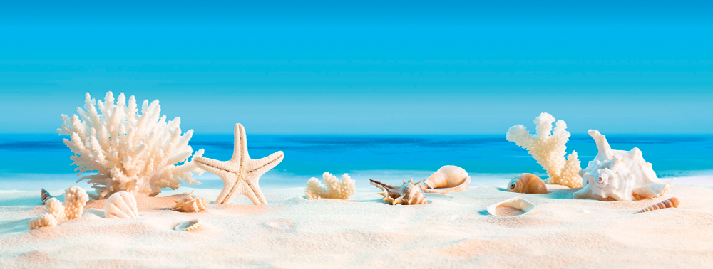 Коллекция Морской пейзаж