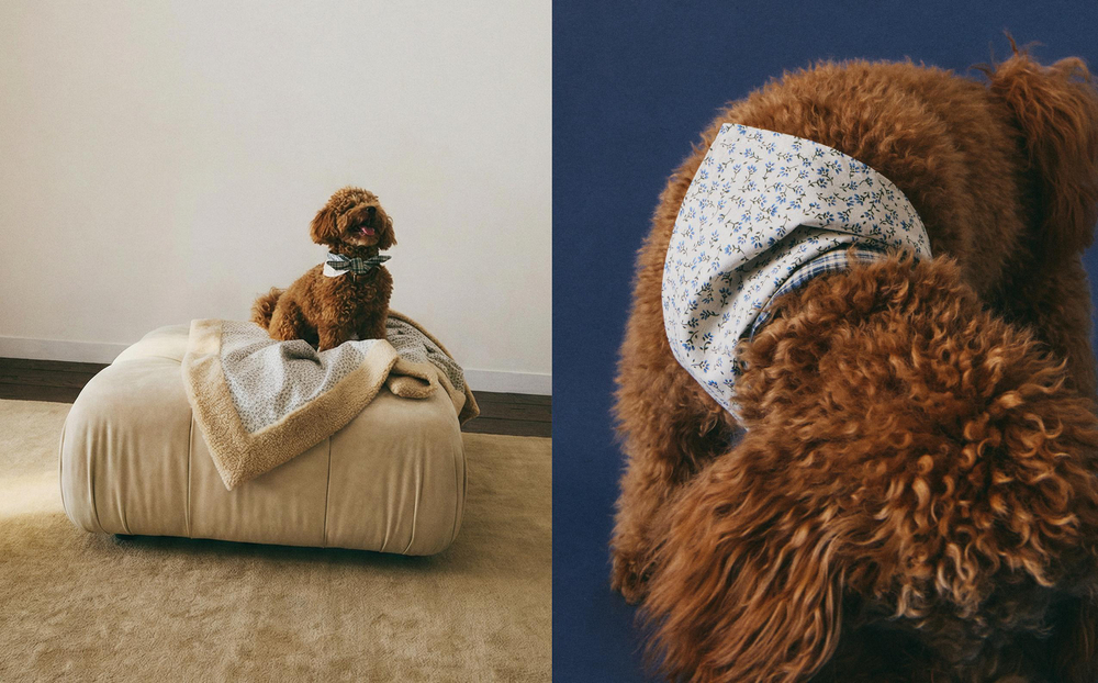 Бандана для питомца Zara Home, хлопок, синий, 1379/149