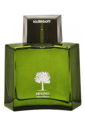 Mahogany Mogno Amazonia