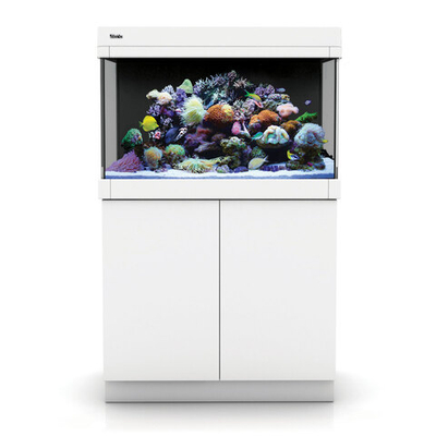 Аквариум Red Sea MAX C-250 белый с тумбой