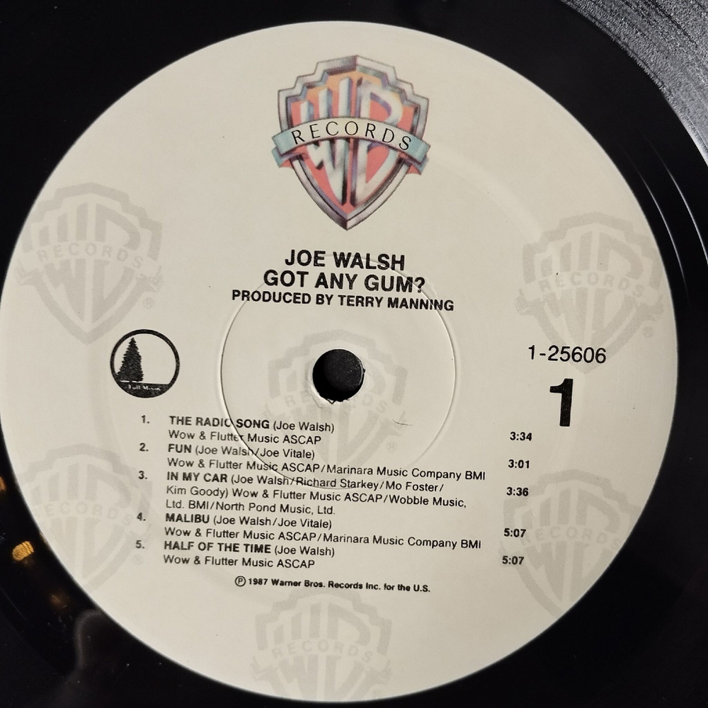 Винтажная виниловая пластинка LP Joe Walsh Got Any Gum (USA 1987) The Radio Song