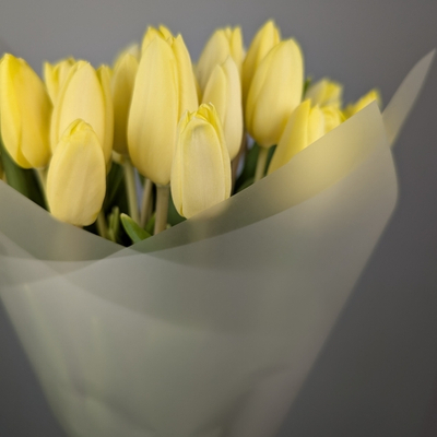 Букет из 33 Тюльпанов Крем Фреш