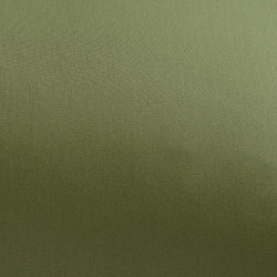 Набор наволочек 2шт 70х70 Tkano Wild сатин оливковый