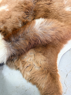 Шкура коврик меховой прикроватный овчина, 120х65 см.