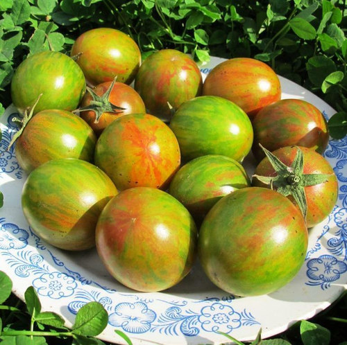 Помидоры Зелёный Шмель - Tomato Green Bumble Bee