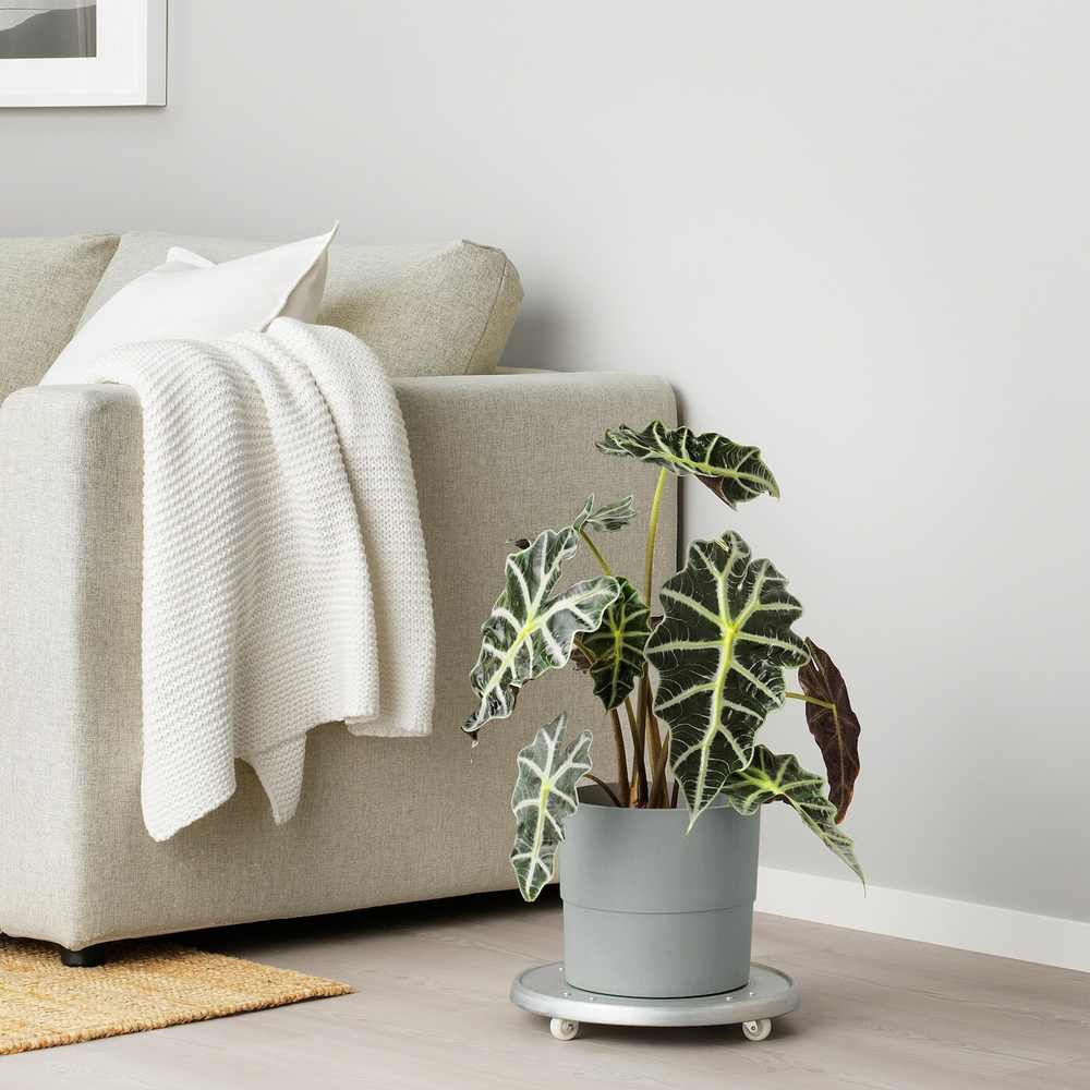 IKEA NYPON  (ИКЕА НЙПОН)  -  Крышка для цветочного горшка, серая, 19 см