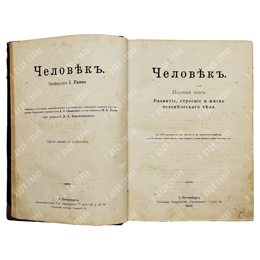 Ранке, И. Человек. В 2 т.,Т. 1-2. – СПб.: Типография товарищества «Просвещение», 1903;