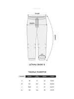 Штаны MLTV Base Russia Gothic Черный
