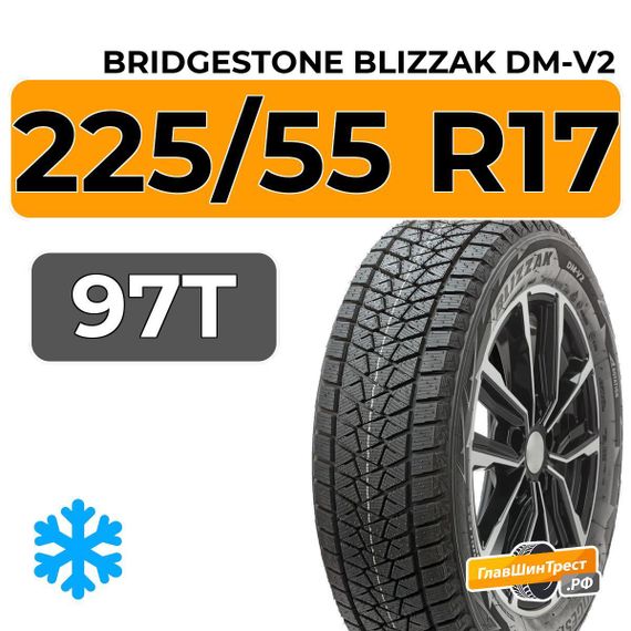 Bridgestone Blizzak DM-V2 225/55 R17 97T
